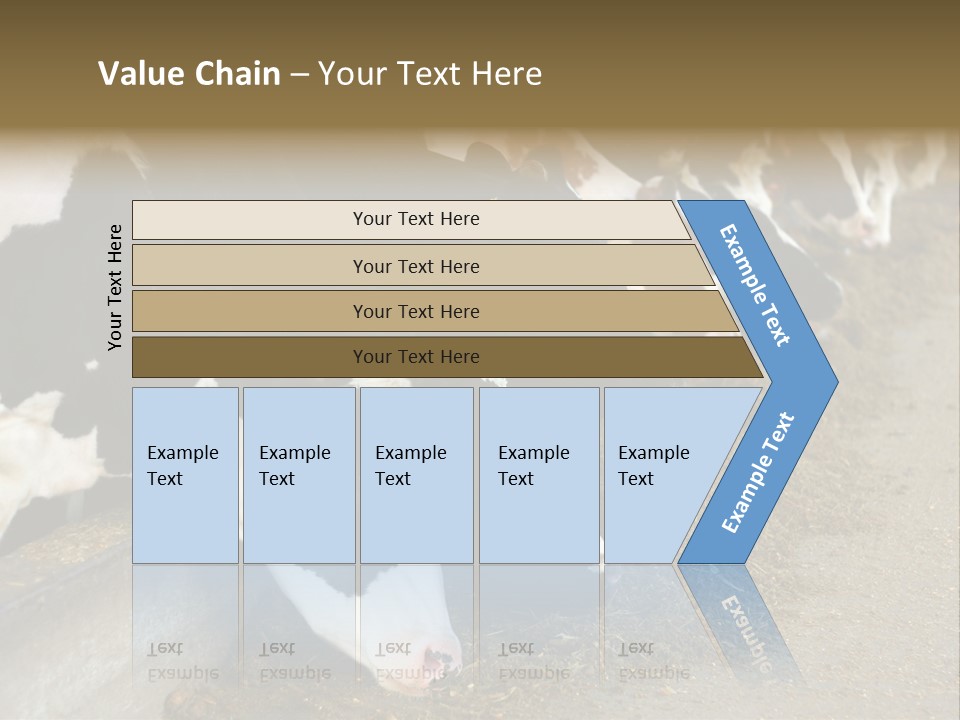 Domestic Animals Feeding Production PowerPoint Template