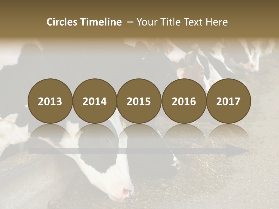 Domestic Animals Feeding Production PowerPoint Template