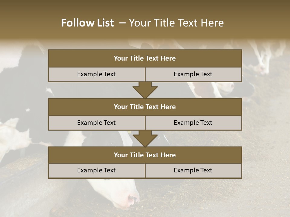 Domestic Animals Feeding Production PowerPoint Template