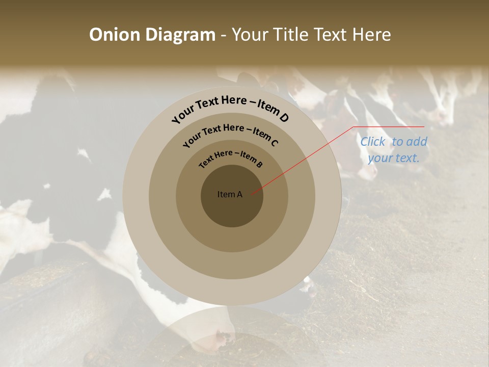 Domestic Animals Feeding Production PowerPoint Template