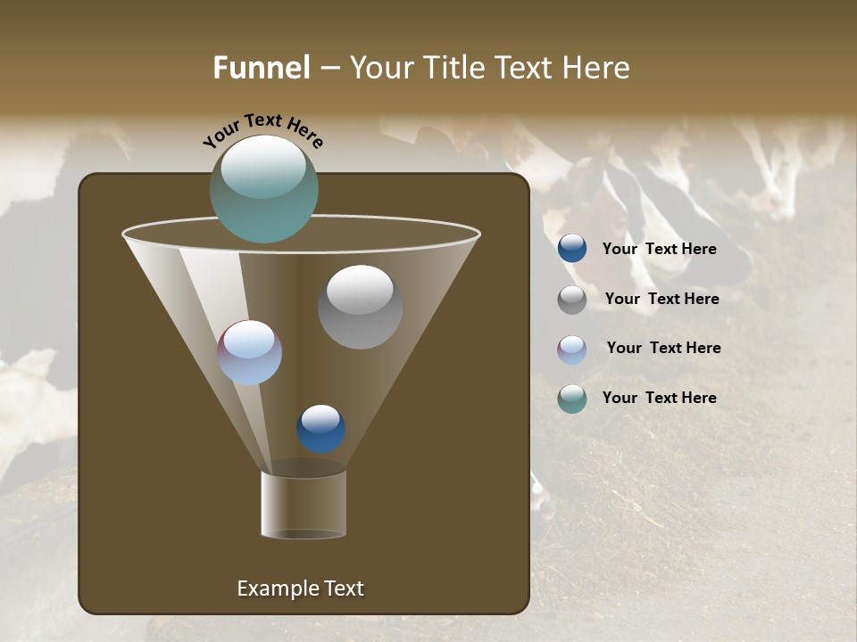 Domestic Animals Feeding Production PowerPoint Template