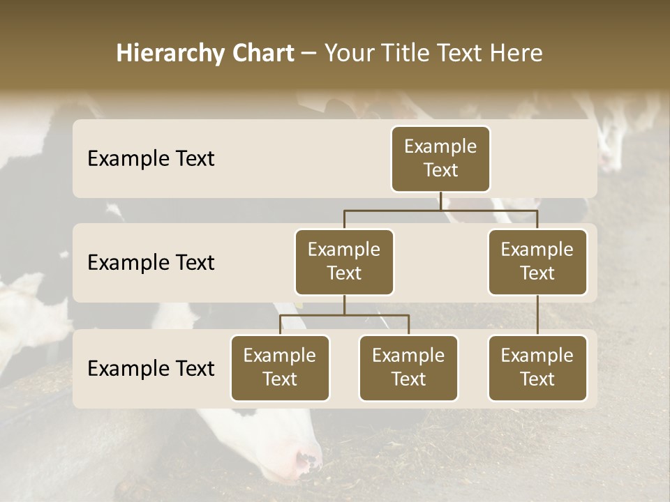 Domestic Animals Feeding Production PowerPoint Template