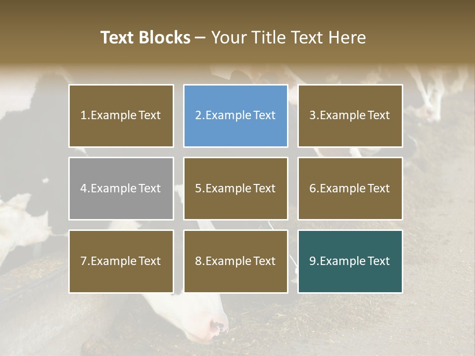 Domestic Animals Feeding Production PowerPoint Template