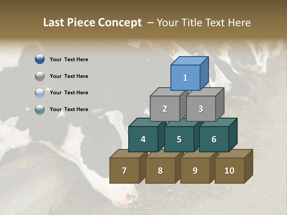 Domestic Animals Feeding Production PowerPoint Template