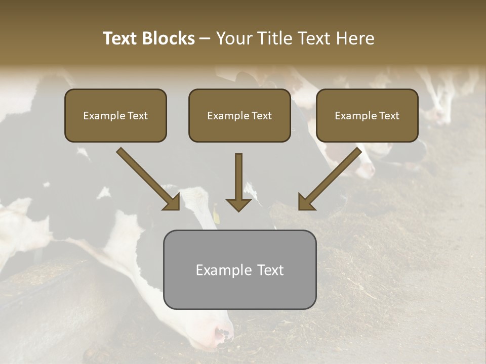 Domestic Animals Feeding Production PowerPoint Template