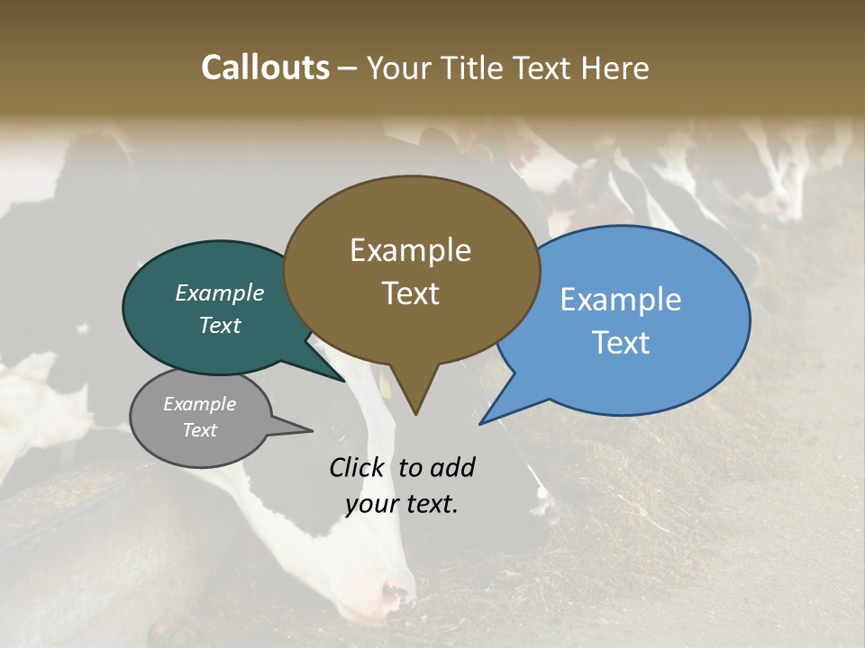 Domestic Animals Feeding Production PowerPoint Template