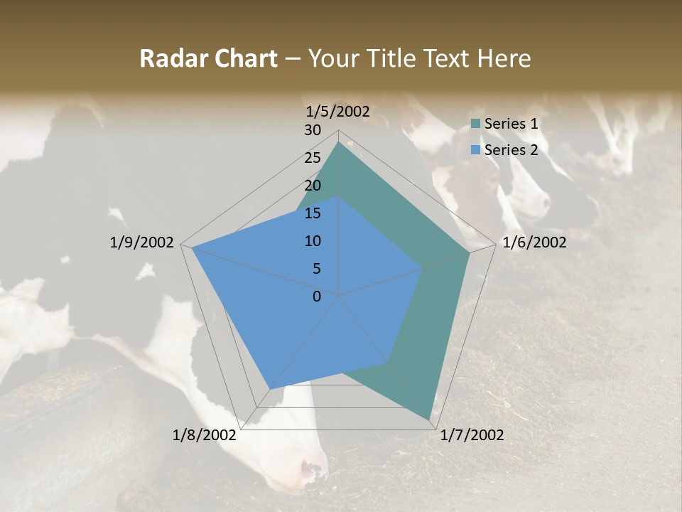 Domestic Animals Feeding Production PowerPoint Template