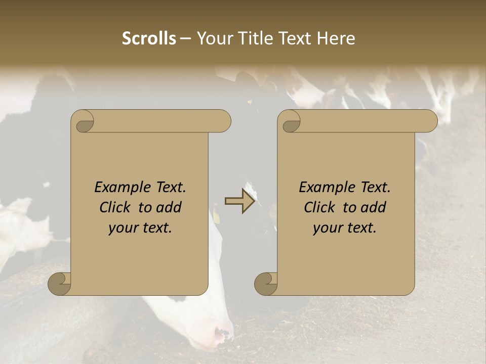 Domestic Animals Feeding Production PowerPoint Template