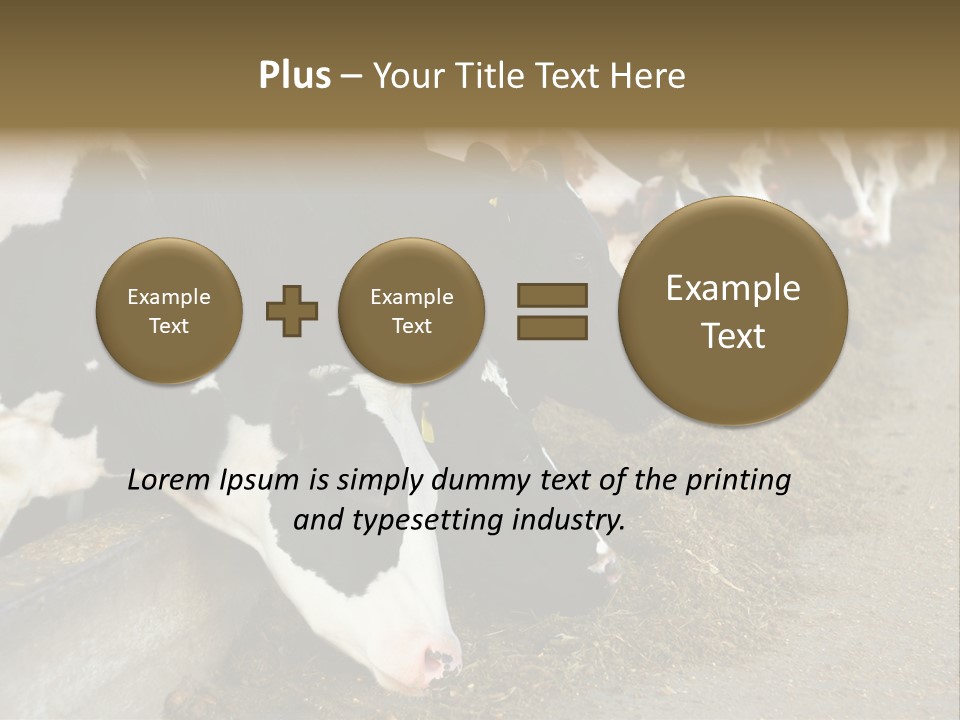 Domestic Animals Feeding Production PowerPoint Template