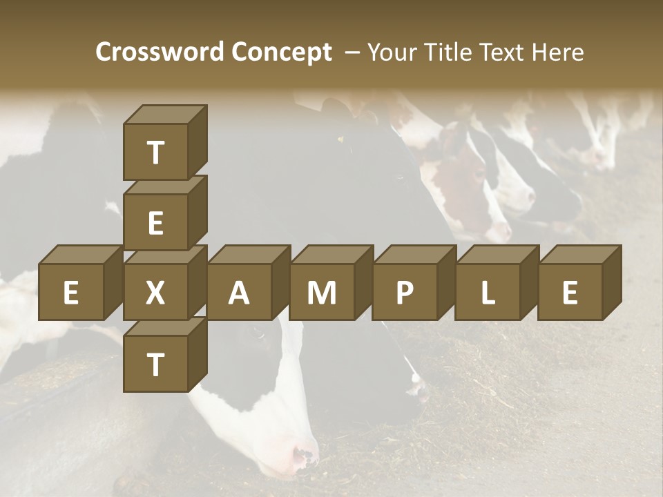 Domestic Animals Feeding Production PowerPoint Template