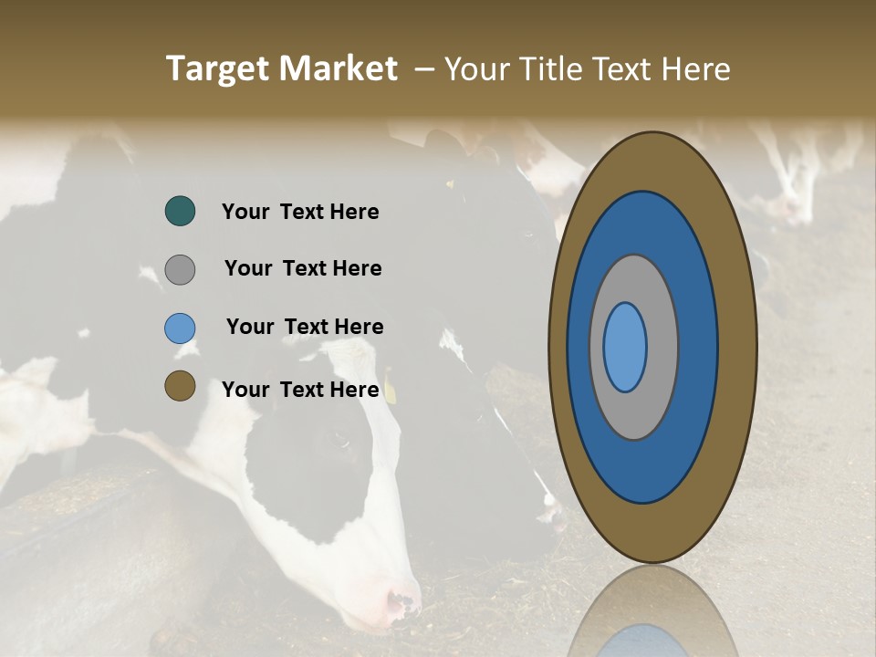 Domestic Animals Feeding Production PowerPoint Template