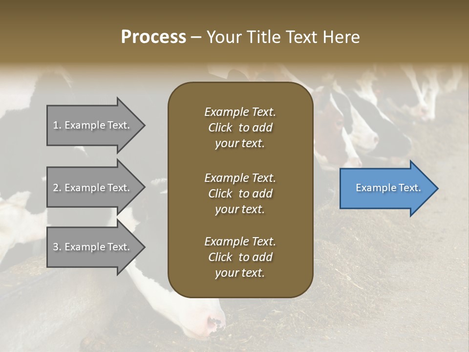 Domestic Animals Feeding Production PowerPoint Template