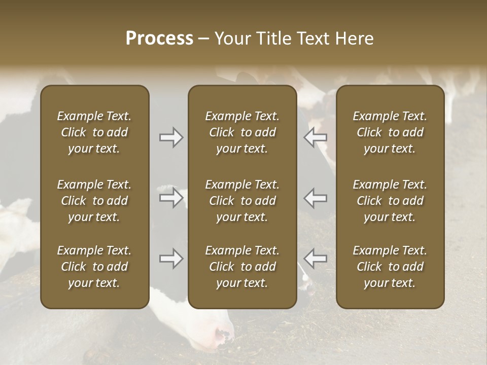 Domestic Animals Feeding Production PowerPoint Template