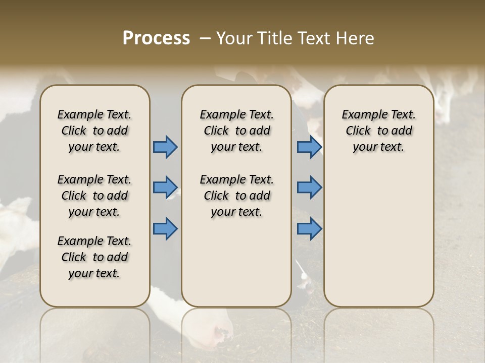 Domestic Animals Feeding Production PowerPoint Template