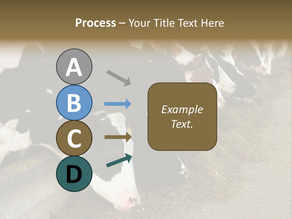 Domestic Animals Feeding Production PowerPoint Template