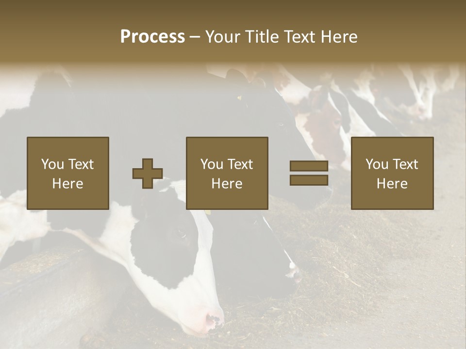 Domestic Animals Feeding Production PowerPoint Template