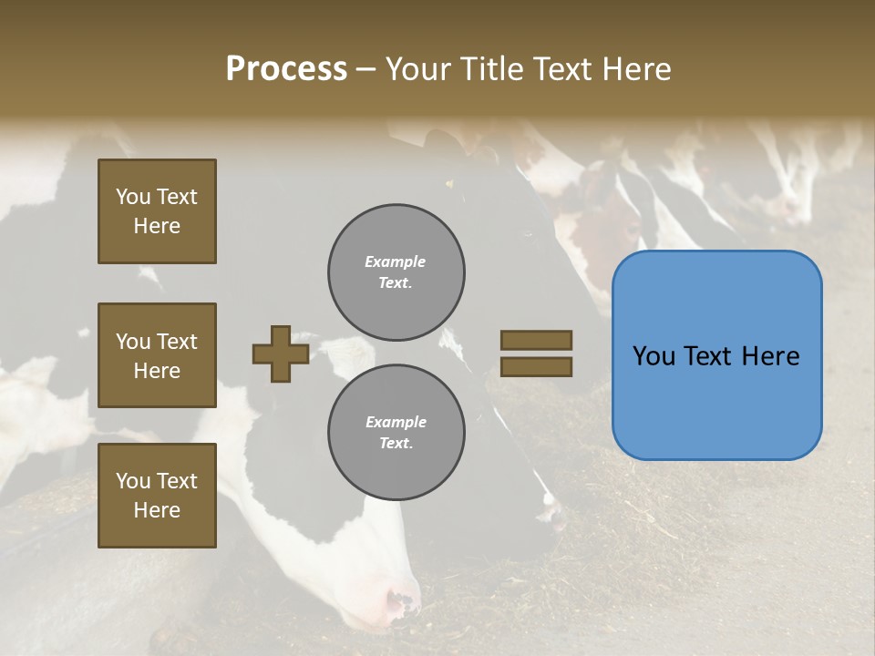 Domestic Animals Feeding Production PowerPoint Template