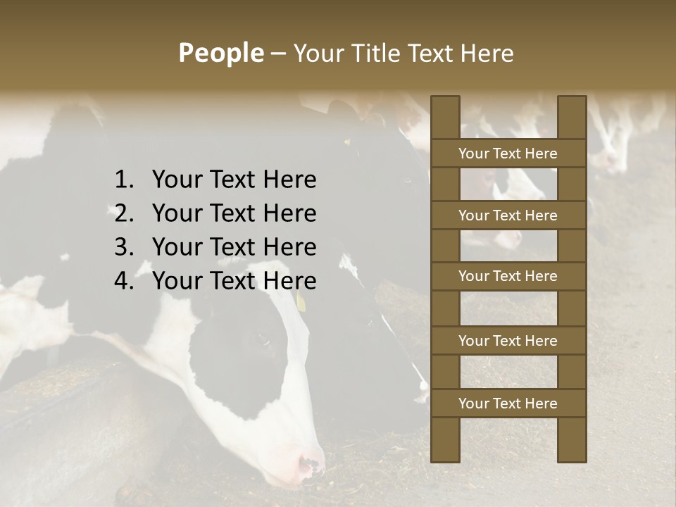 Domestic Animals Feeding Production PowerPoint Template