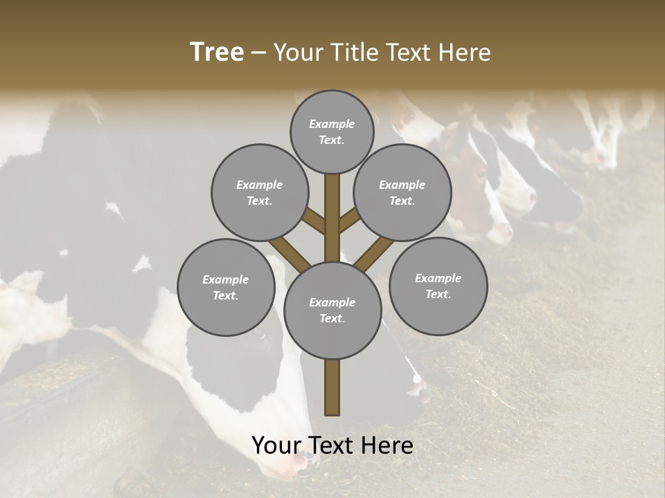 Domestic Animals Feeding Production PowerPoint Template