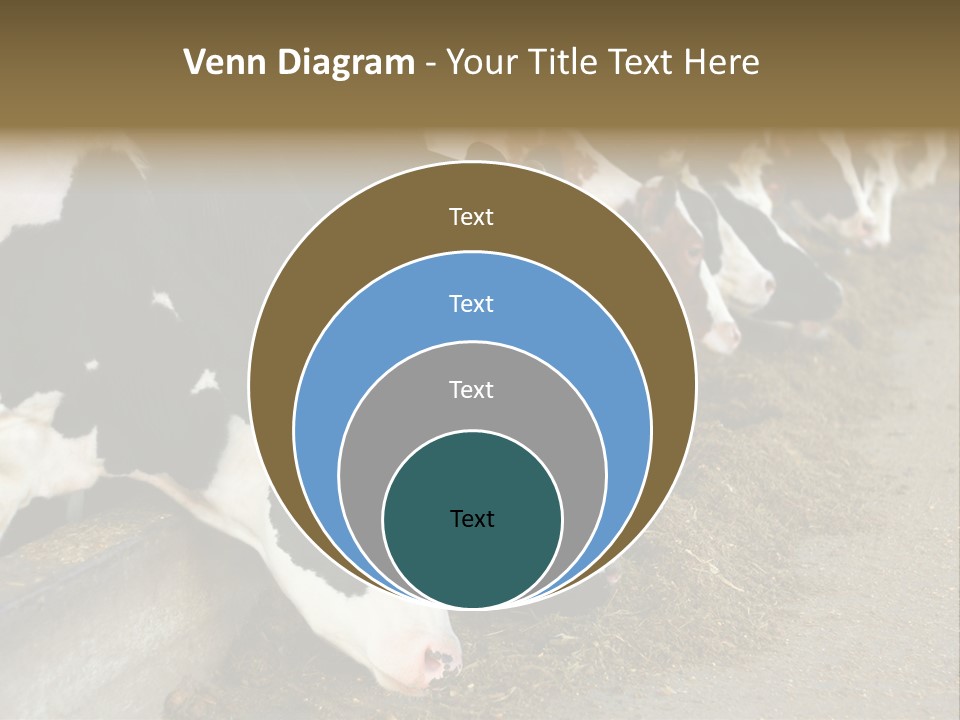 Domestic Animals Feeding Production PowerPoint Template