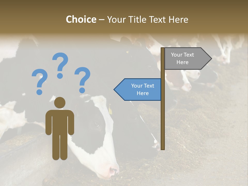 Domestic Animals Feeding Production PowerPoint Template