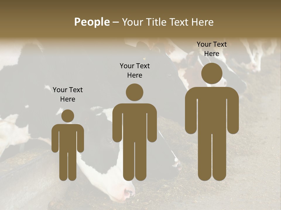 Domestic Animals Feeding Production PowerPoint Template