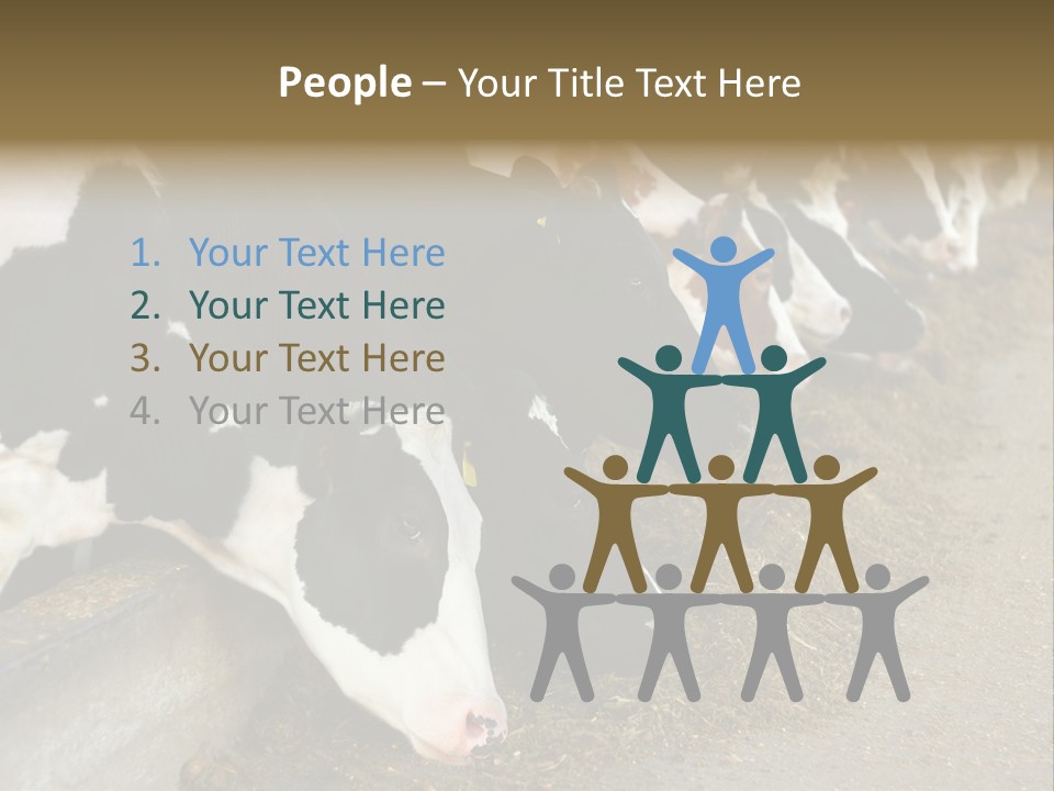 Domestic Animals Feeding Production PowerPoint Template