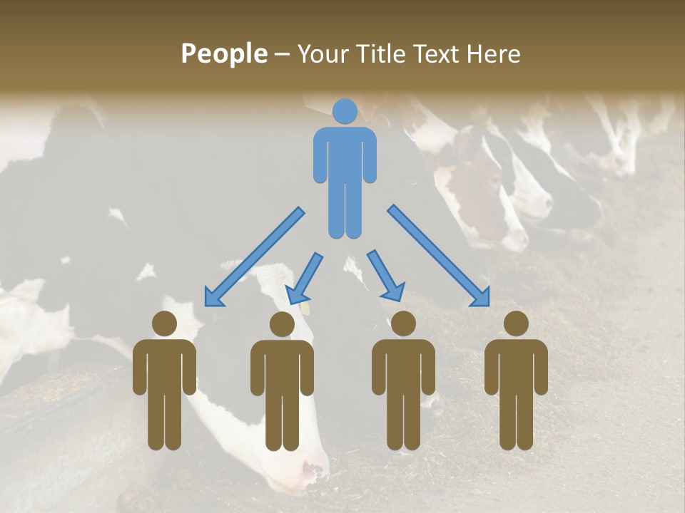 Domestic Animals Feeding Production PowerPoint Template