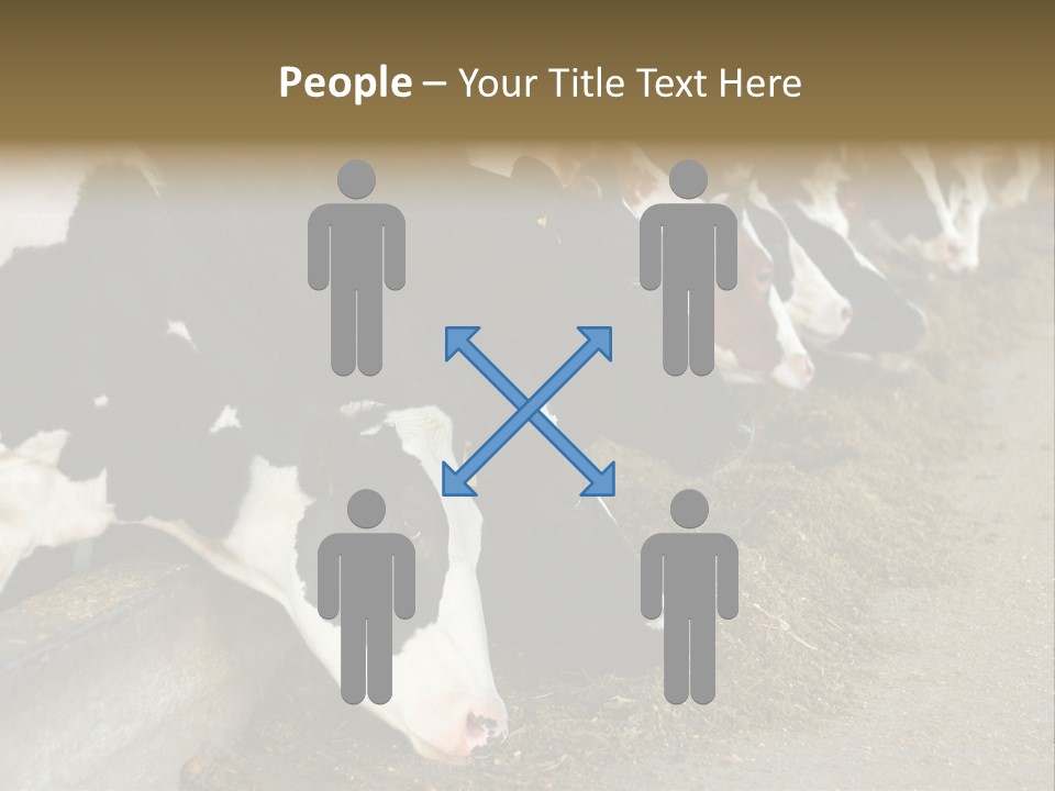 Domestic Animals Feeding Production PowerPoint Template