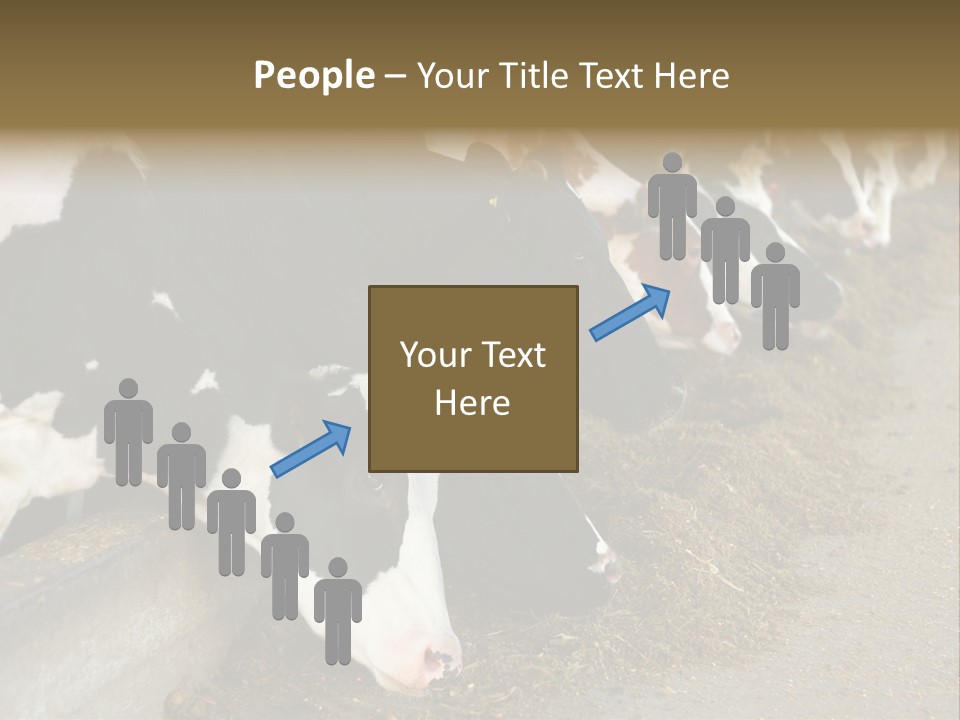 Domestic Animals Feeding Production PowerPoint Template