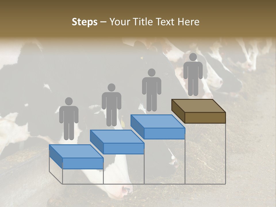 Domestic Animals Feeding Production PowerPoint Template