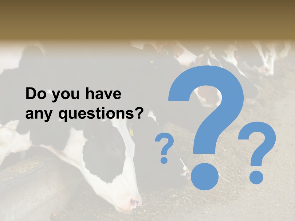 Domestic Animals Feeding Production PowerPoint Template