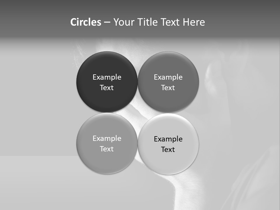 Portrait Drama Dramatic PowerPoint Template