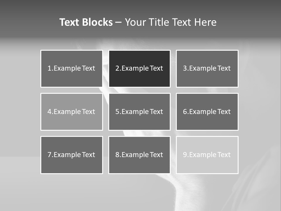 Portrait Drama Dramatic PowerPoint Template