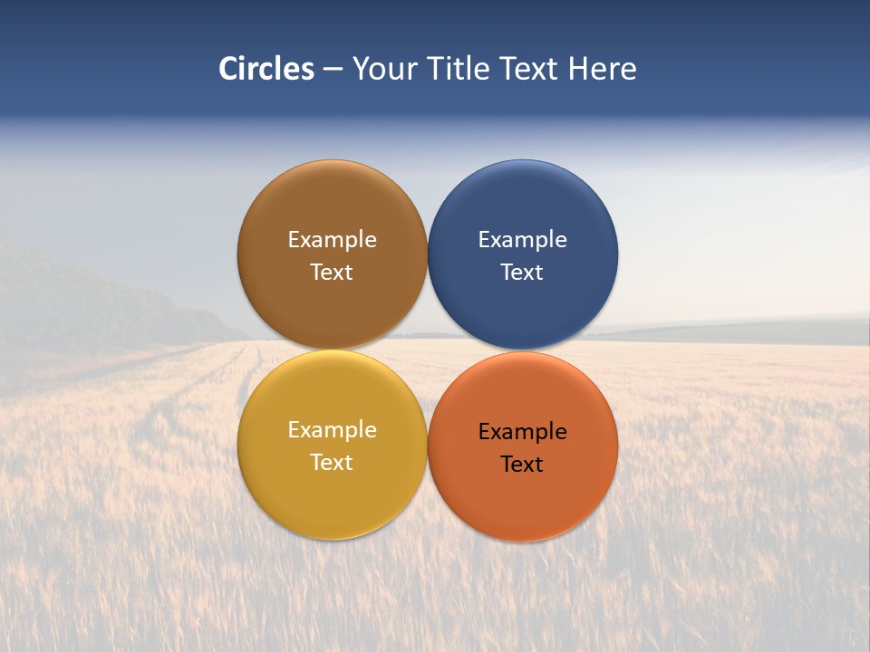 Sunny Closeup Dry PowerPoint Template