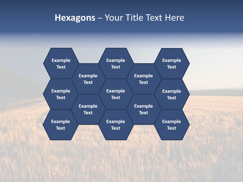 Sunny Closeup Dry PowerPoint Template