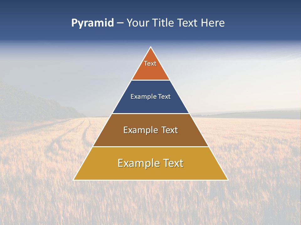 Sunny Closeup Dry PowerPoint Template