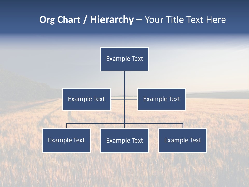 Sunny Closeup Dry PowerPoint Template