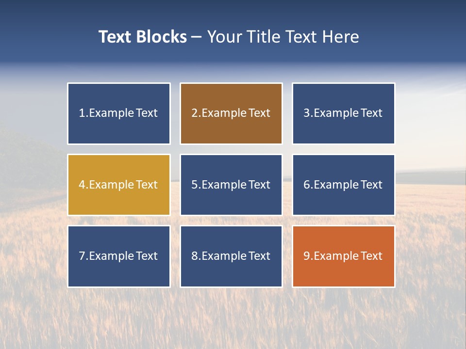 Sunny Closeup Dry PowerPoint Template