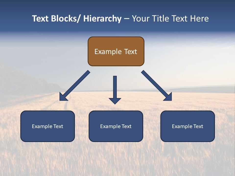 Sunny Closeup Dry PowerPoint Template