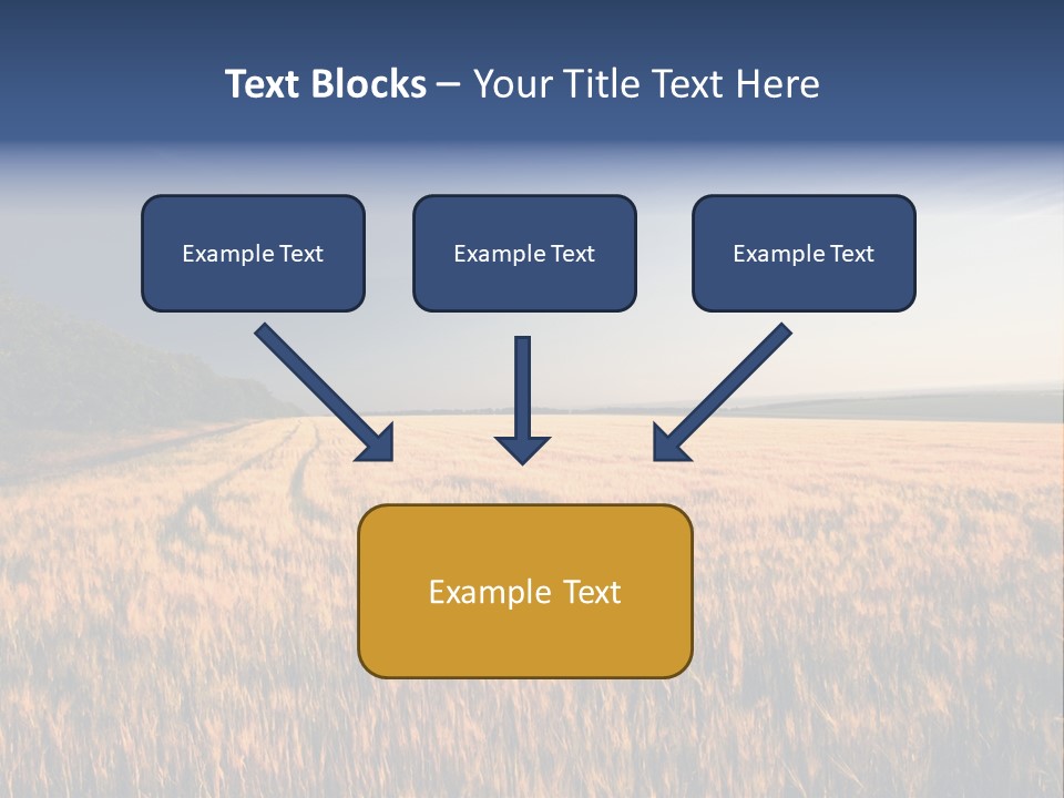 Sunny Closeup Dry PowerPoint Template