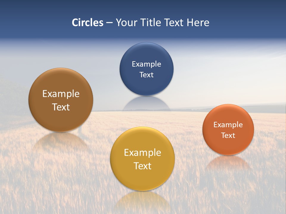 Sunny Closeup Dry PowerPoint Template