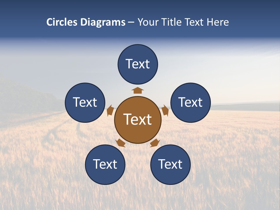 Sunny Closeup Dry PowerPoint Template