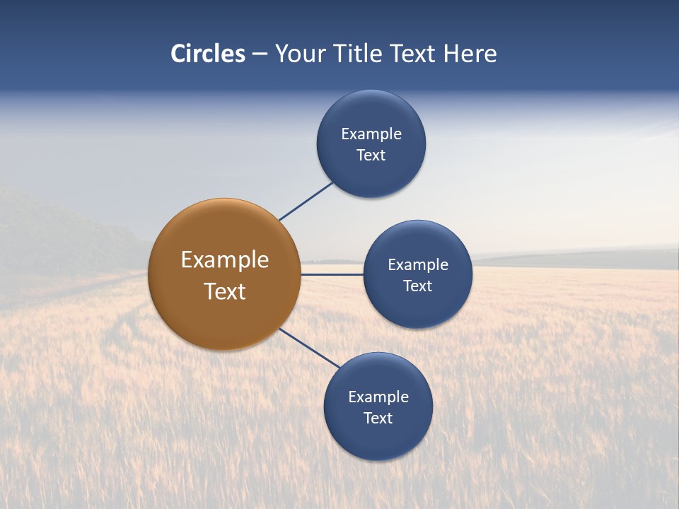 Sunny Closeup Dry PowerPoint Template