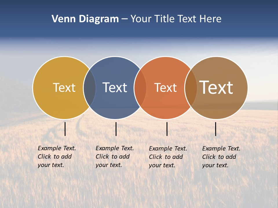 Sunny Closeup Dry PowerPoint Template