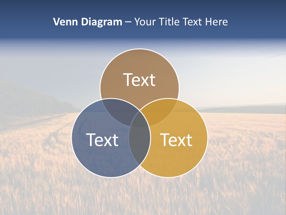 Sunny Closeup Dry PowerPoint Template