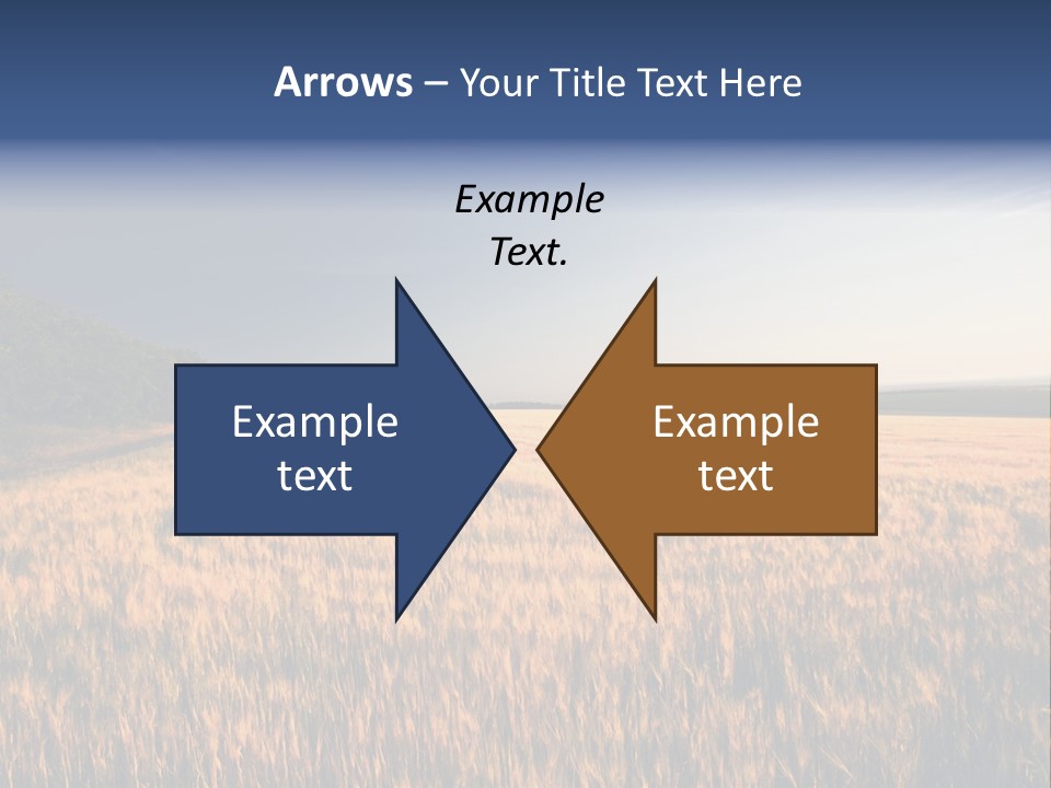 Sunny Closeup Dry PowerPoint Template