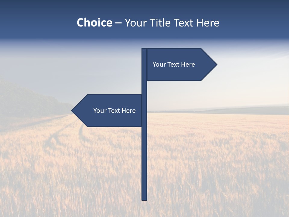 Sunny Closeup Dry PowerPoint Template