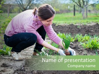 Countryside Seed Female PowerPoint Template