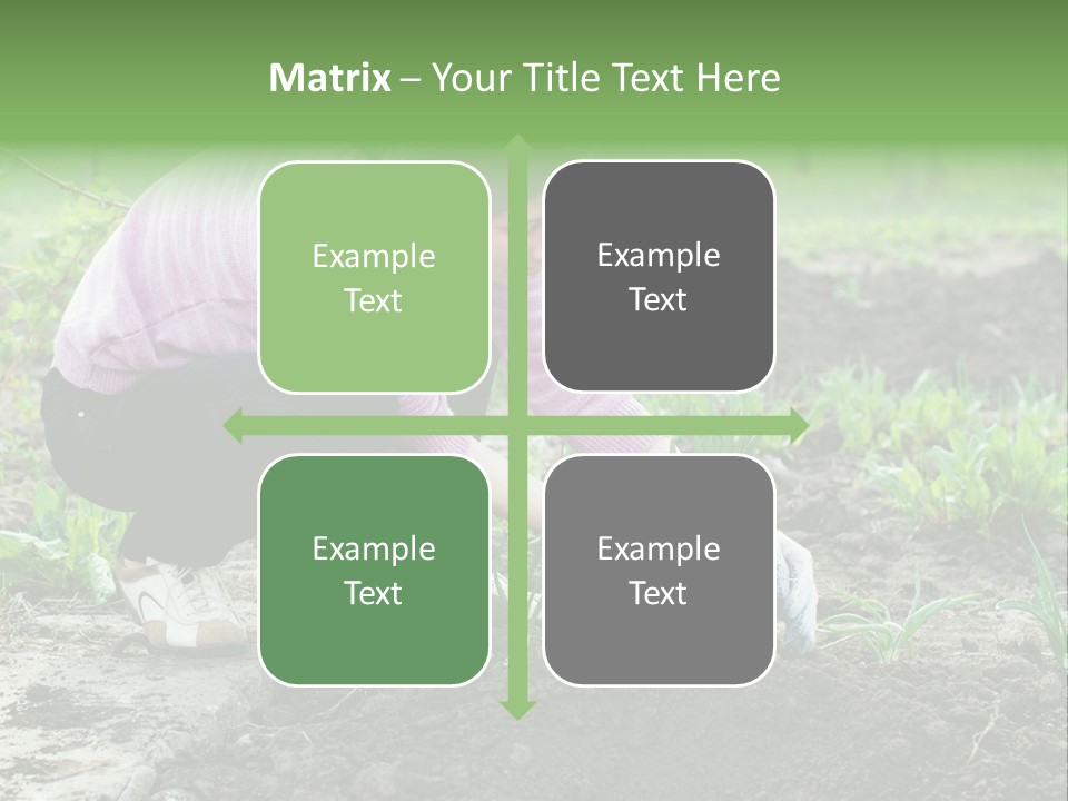 Countryside Seed Female PowerPoint Template